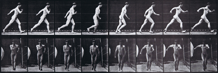 muybridge plate 4 for aristic refrence of nude male speed walking with profile and front view