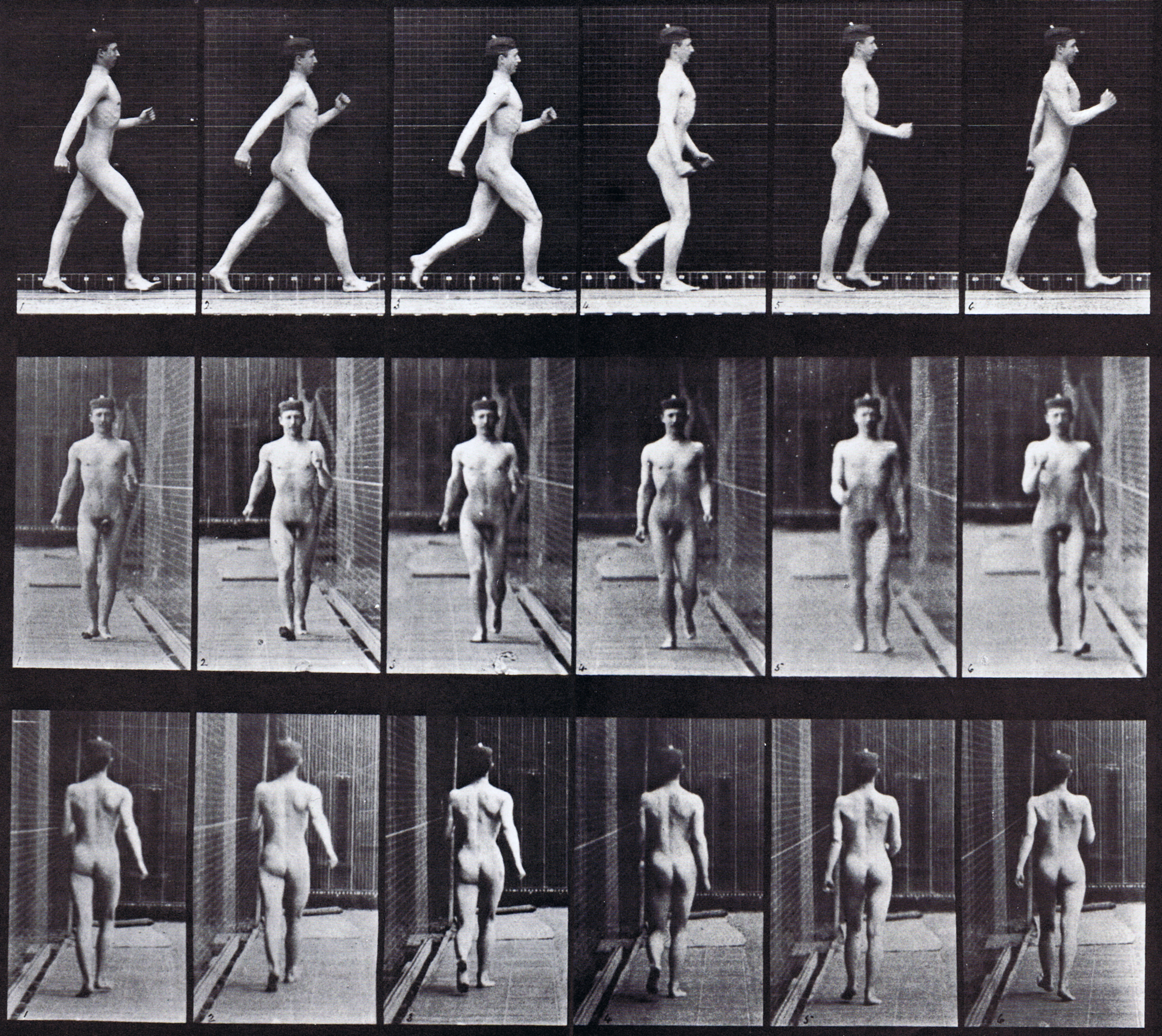 large animator reference using muybridge plate 10 of nude male making single stride wearing a hat