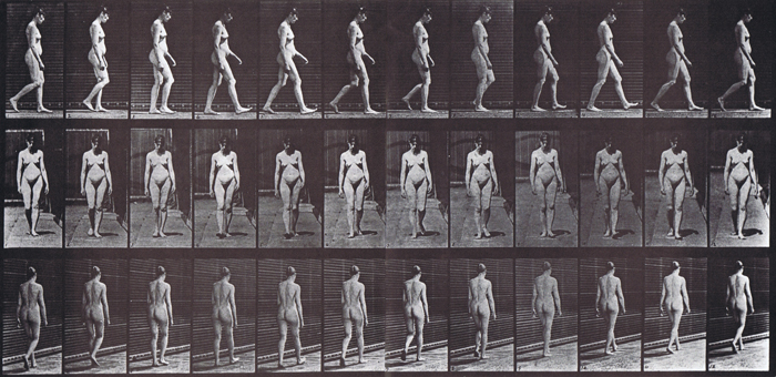 nude female looping walkcycle artist reference using muybridge plate 13