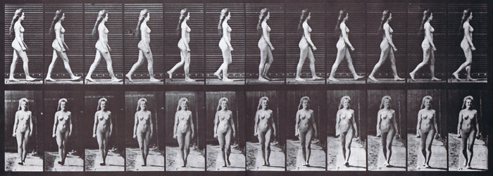 nude female walking using muybridge plate 17 as animation reference with profile and rear views