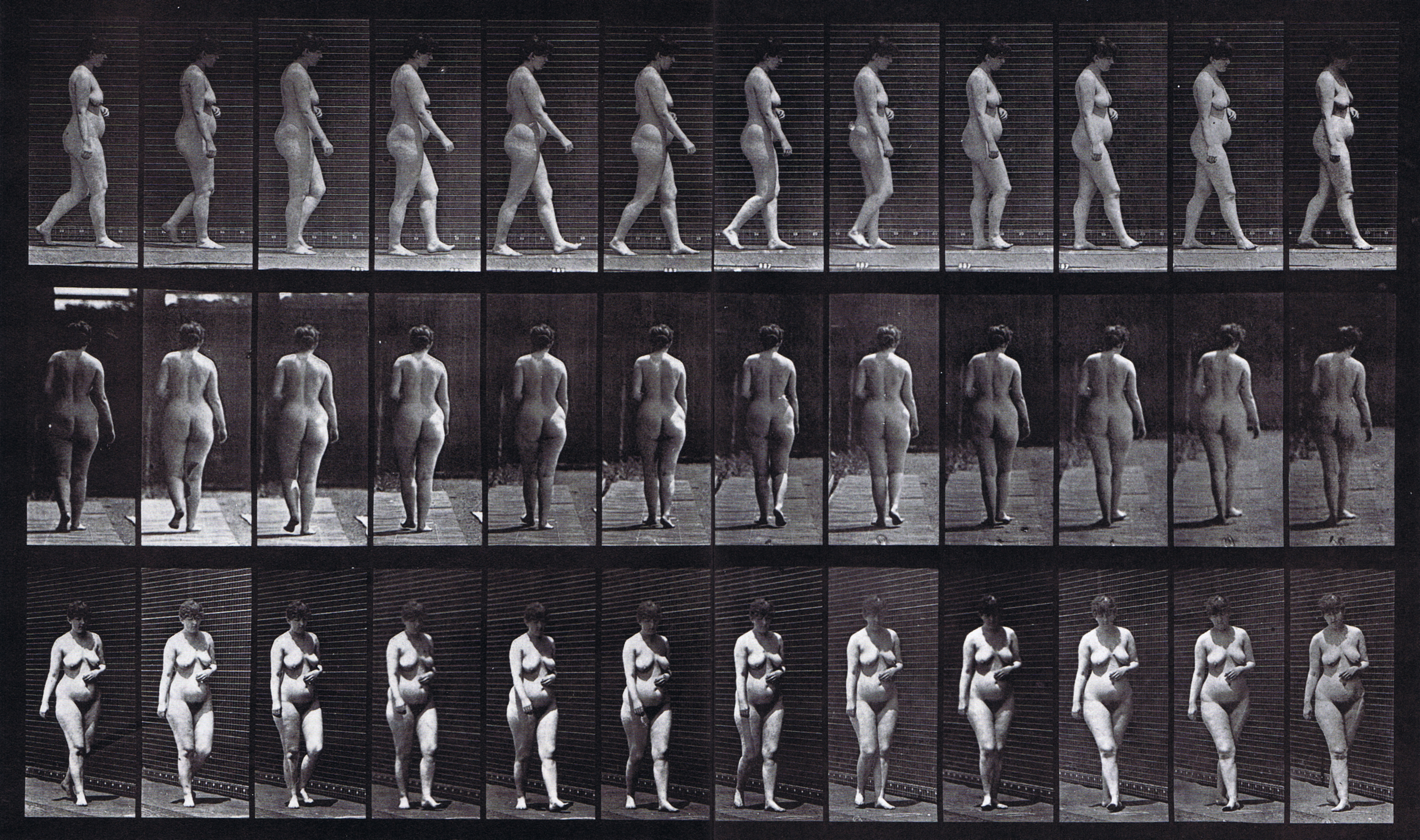 muybridge plate 18 of slightly overweight nude female looping walkcycle with hand on abdomen used for animation reference