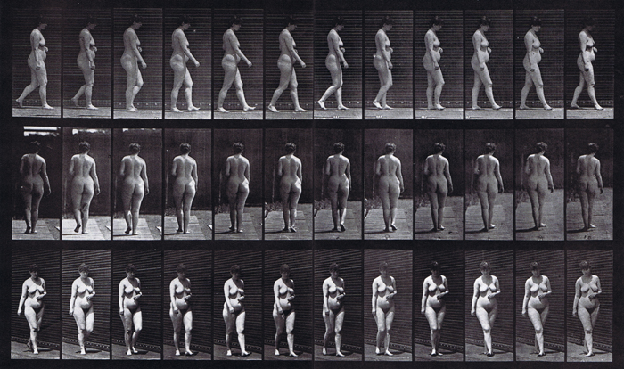 muybridge plate 18 of slightly overweight nude female looping walkcycle with hand on abdomen used for animation reference