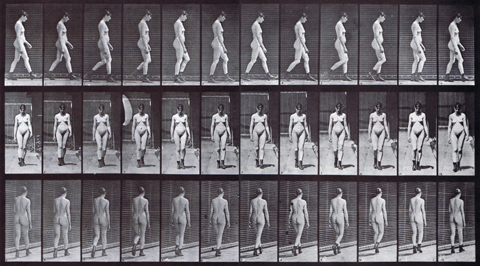 nude female looping walkcycle with high heeled boots on muybridge plate 22 used as artist reference