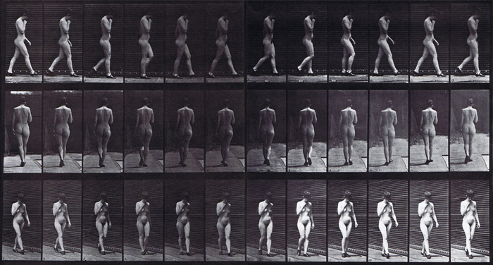 animation reference of nude female looping walkcycle with right hand on chin taken from plate 23 of muybridge animal locomotion
