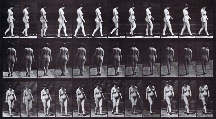 slightly overweight nude female wearing shoes looping walkcycle using muybridge plate 24 as artist reference