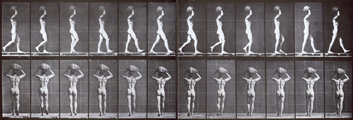 nude male looping walkcycle carrying a 75 pound stone on his head with hands raised animation reference from muybridge plate 27 animal locomotion
