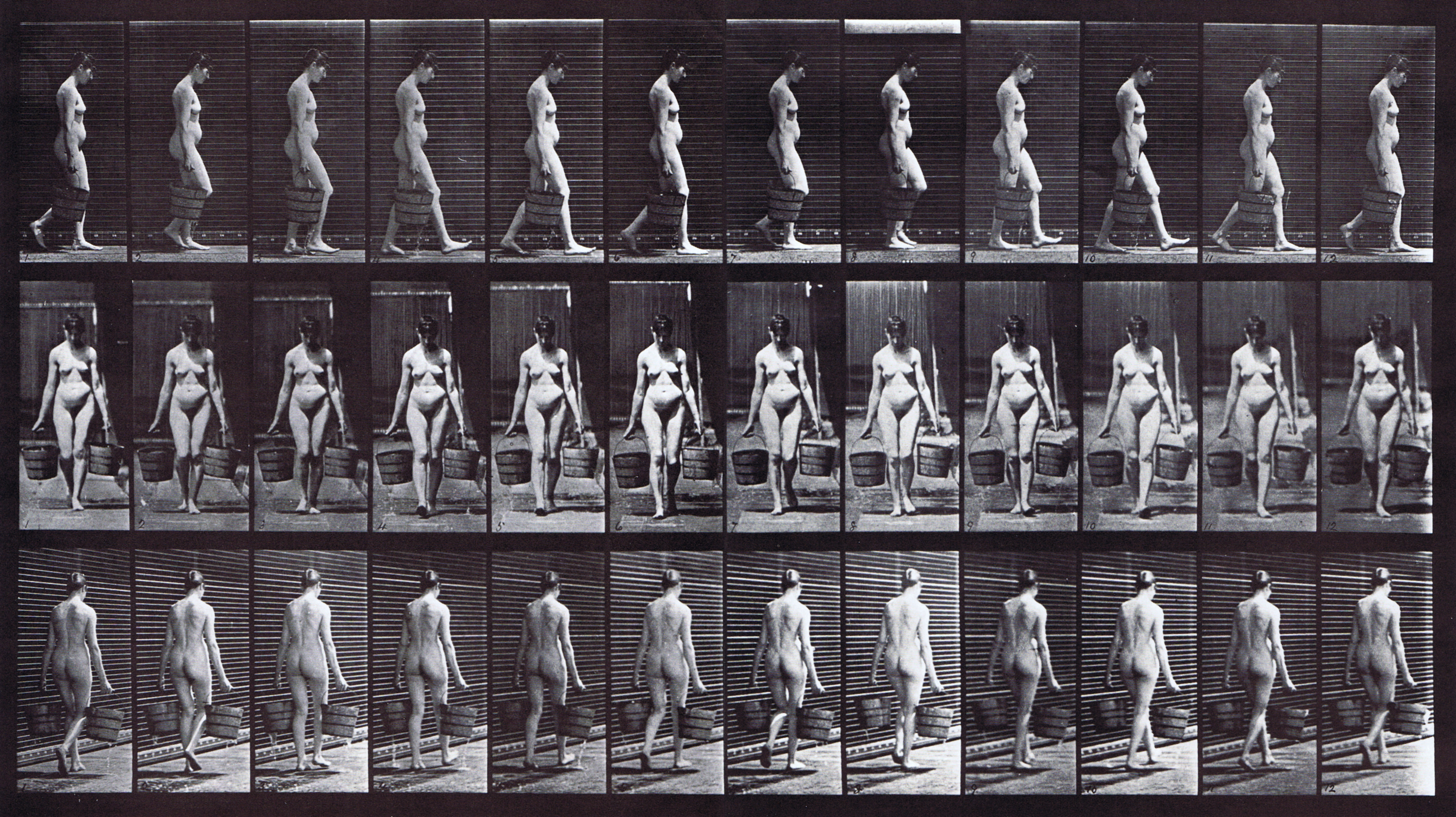 large nude female looping walkcycle carrying a bucket of water in each hand artist reference using muybridge plate 32 from animatl locomotion