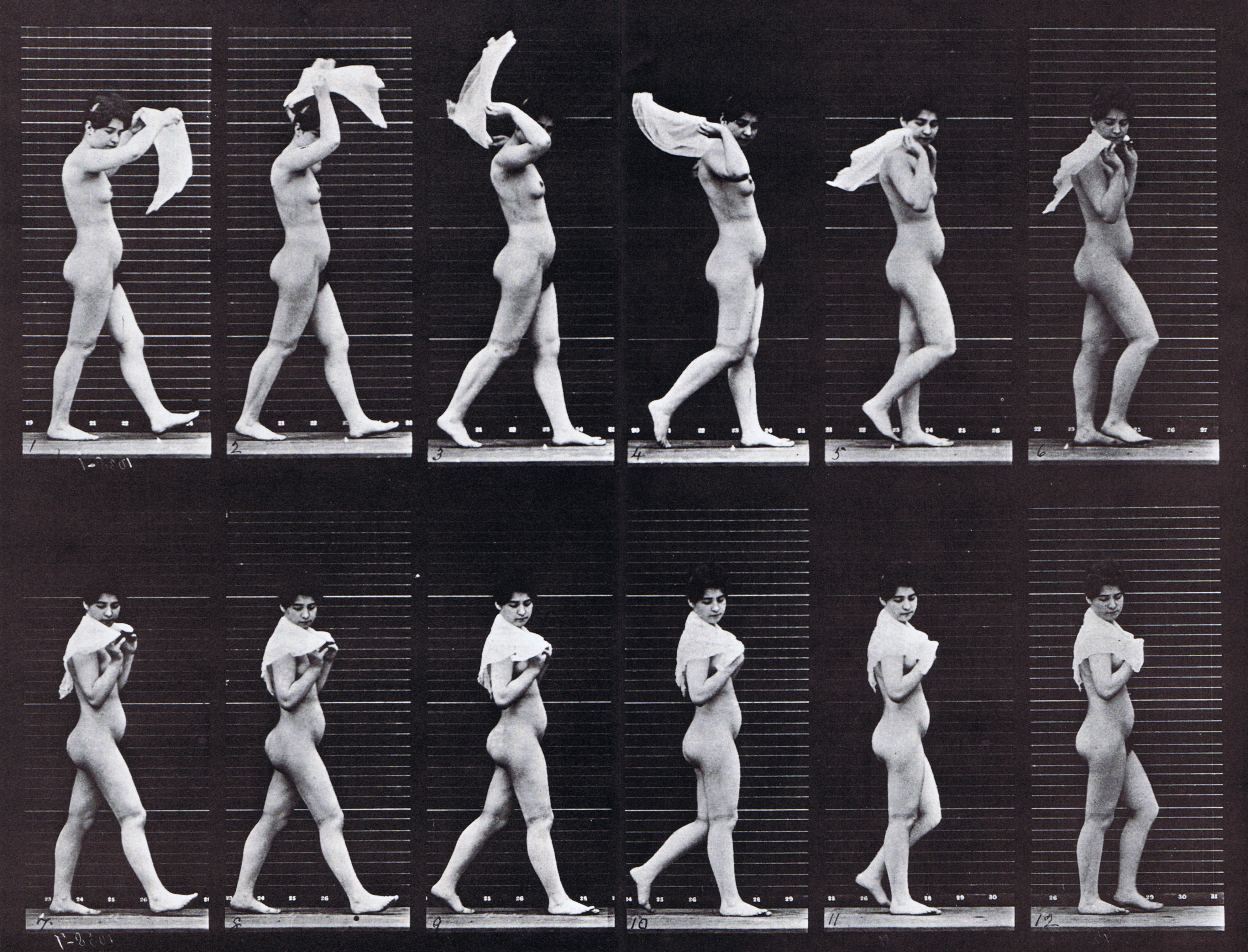 large profile view of nude female walking placing a handkercheif over her shoulder animation reference using muybridge plate 40 from animal locomotion