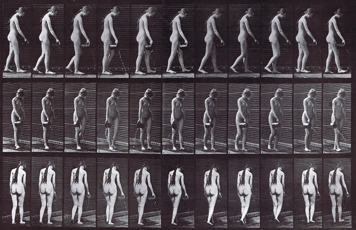 Profile, front three-quarter, and rear three-quarter view of nude female walking and pourting water from a pitcher animation refrence using muybridge plate 42 from animal locomotion
