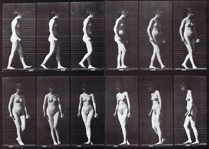 Profile view of nude female walking and turning around animation reference using muybridge plate 47 from animal locomotion
