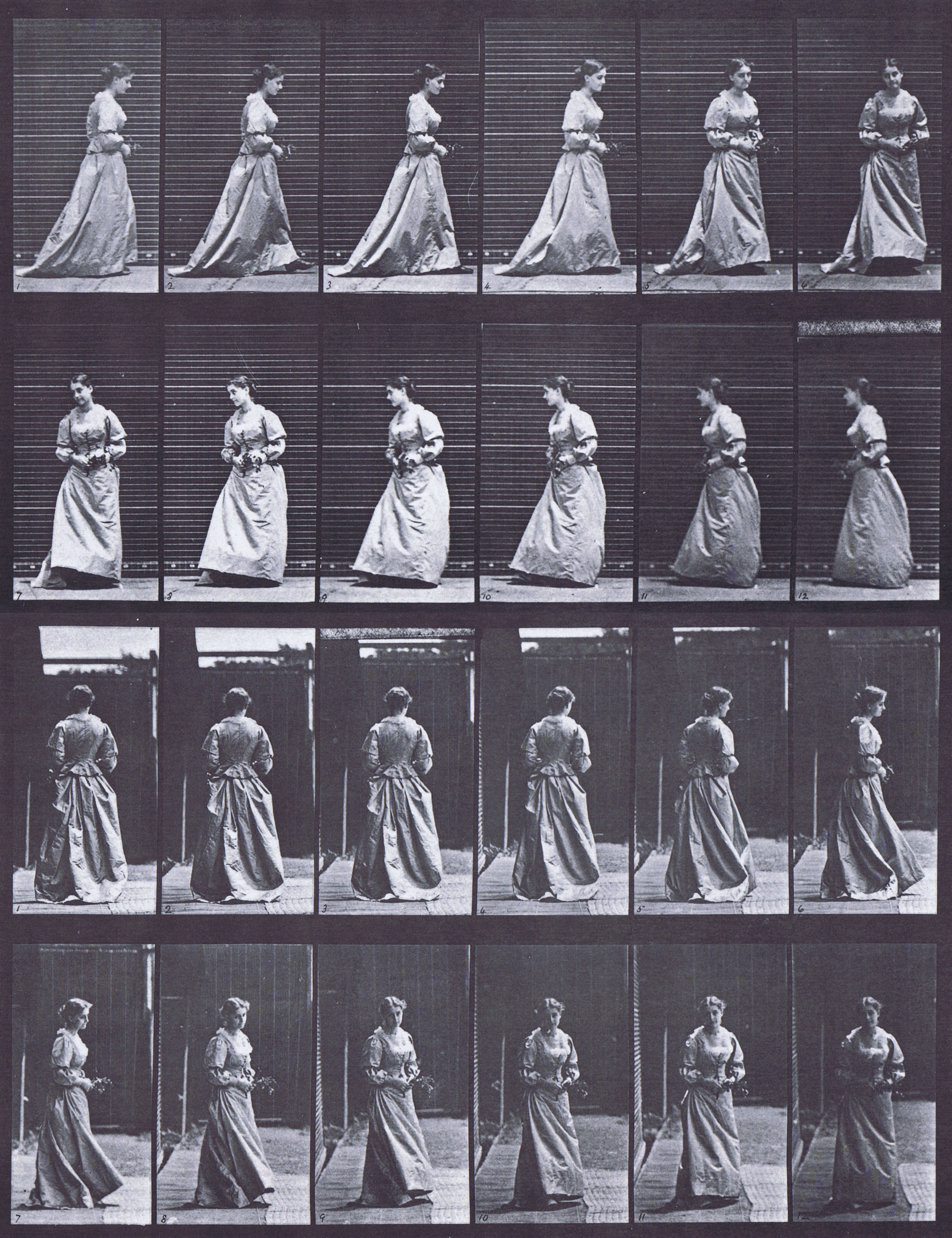 large profile, and rear view of clothed female walking with bouquet in both hands turning around animation reference using muybridge plate 48 from animal locomotion