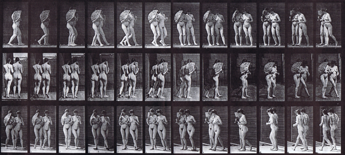 Profile, rear, and front three-quarter views of two nude females walking and turning around while one flirts a fan animation reference using muybridge plate 54 from animal locomotion