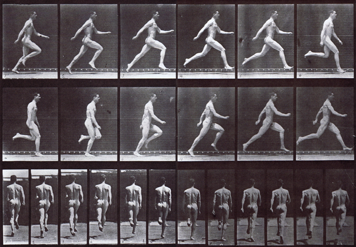 Profile and rear views of nude male running at full speed animation reference using muybridge plate 64 from animal locomotion