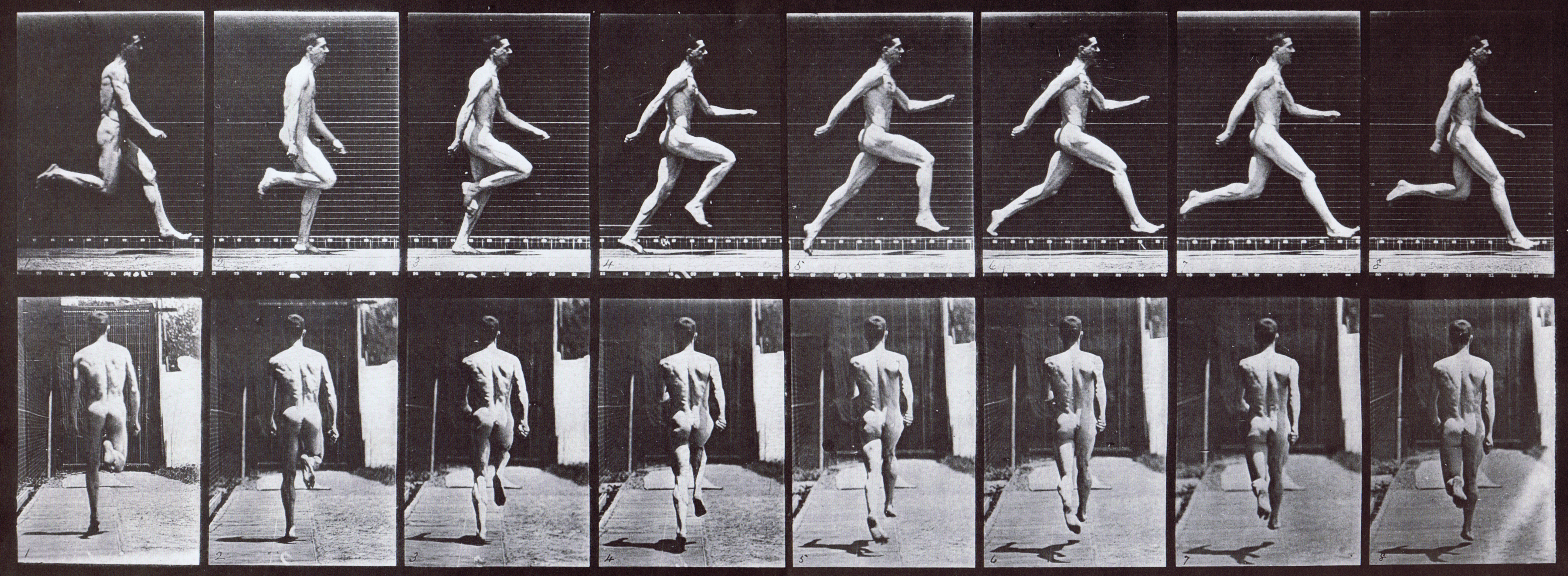 large profile and rear views of nude male running at full speed animation reference using muybridge plate 65 from animal locomotion