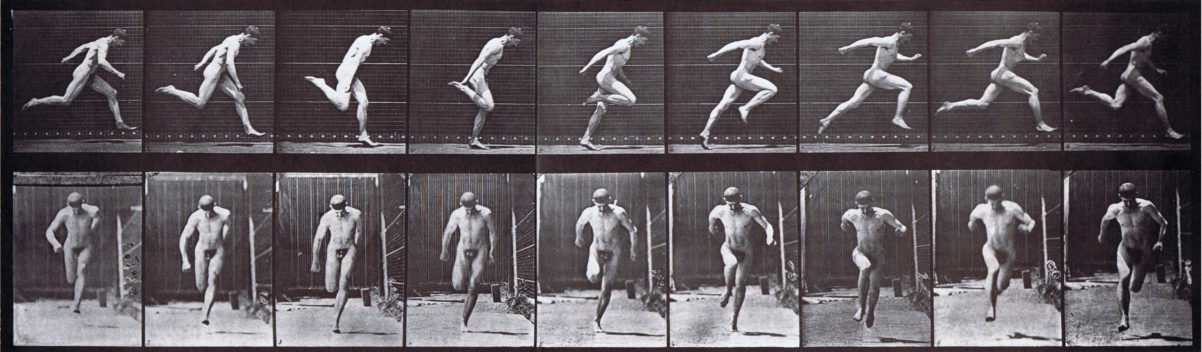 large profile and front views of nude male running animation reference using muybridge plate 68 from animal locomotion