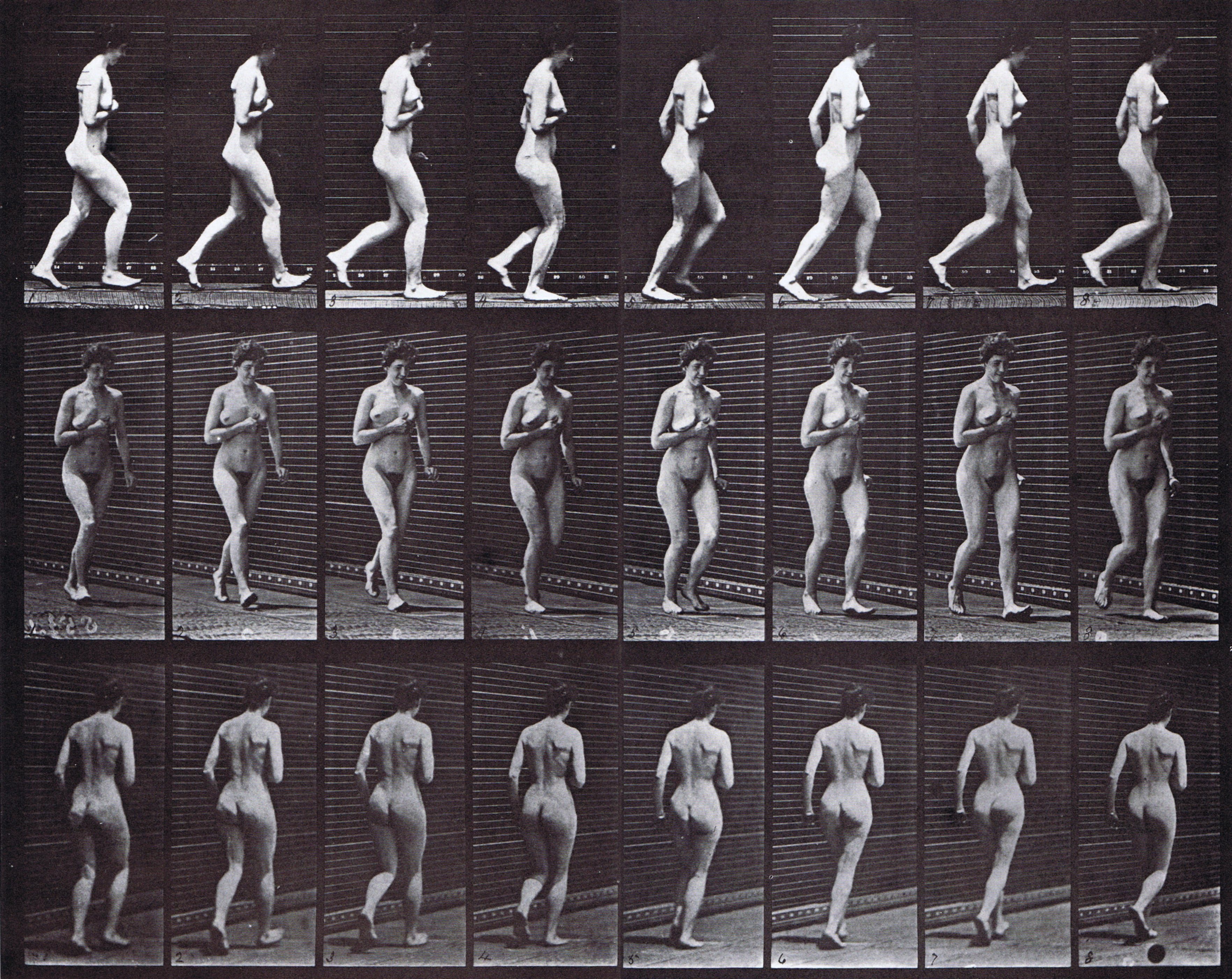 large profile, front three-quarter, and rear three-quarter views of nude female speed walking with right hand over left breast animation reference using muybridge plate 70 from animal locomotion