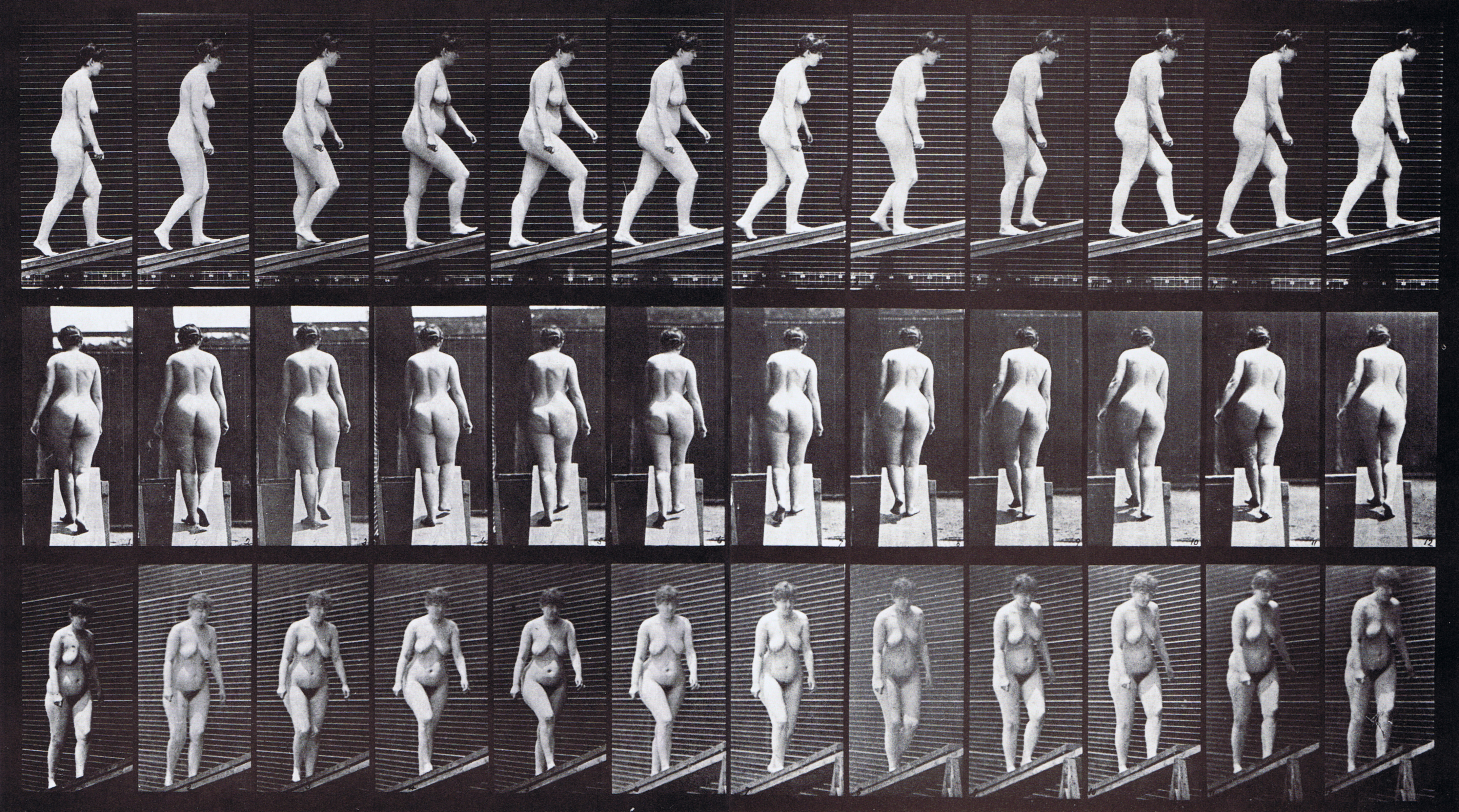 large profile, rear, front three-quarter view of nude female ascending an incline, looping walkcycle animation reference using muybridge plate 77 from animal locomotion