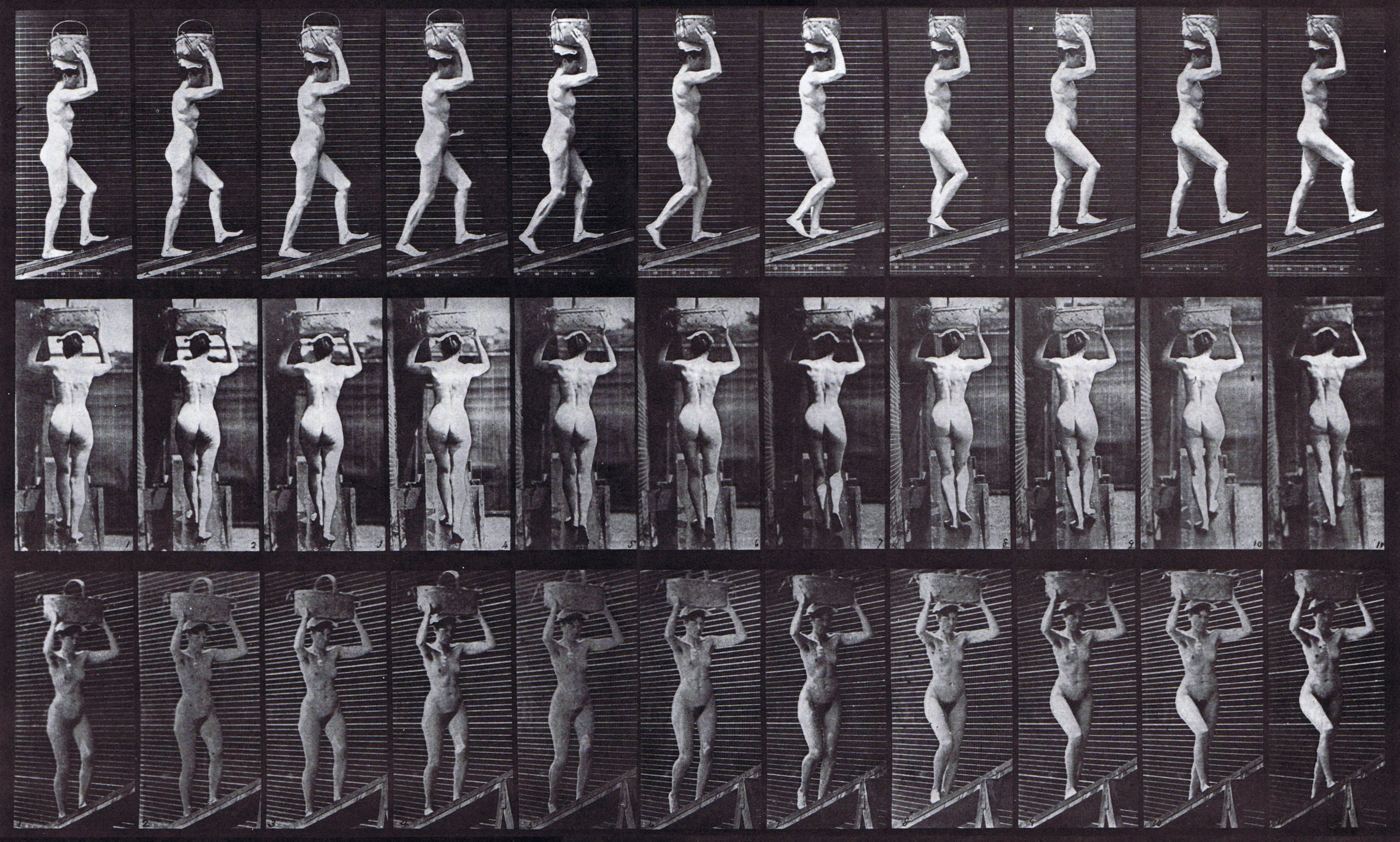 large profile, rear, front three-quarter views of nude female ascending incline with 80 pound basket on head animation reference using muybridge plate 80 from animal locomotion