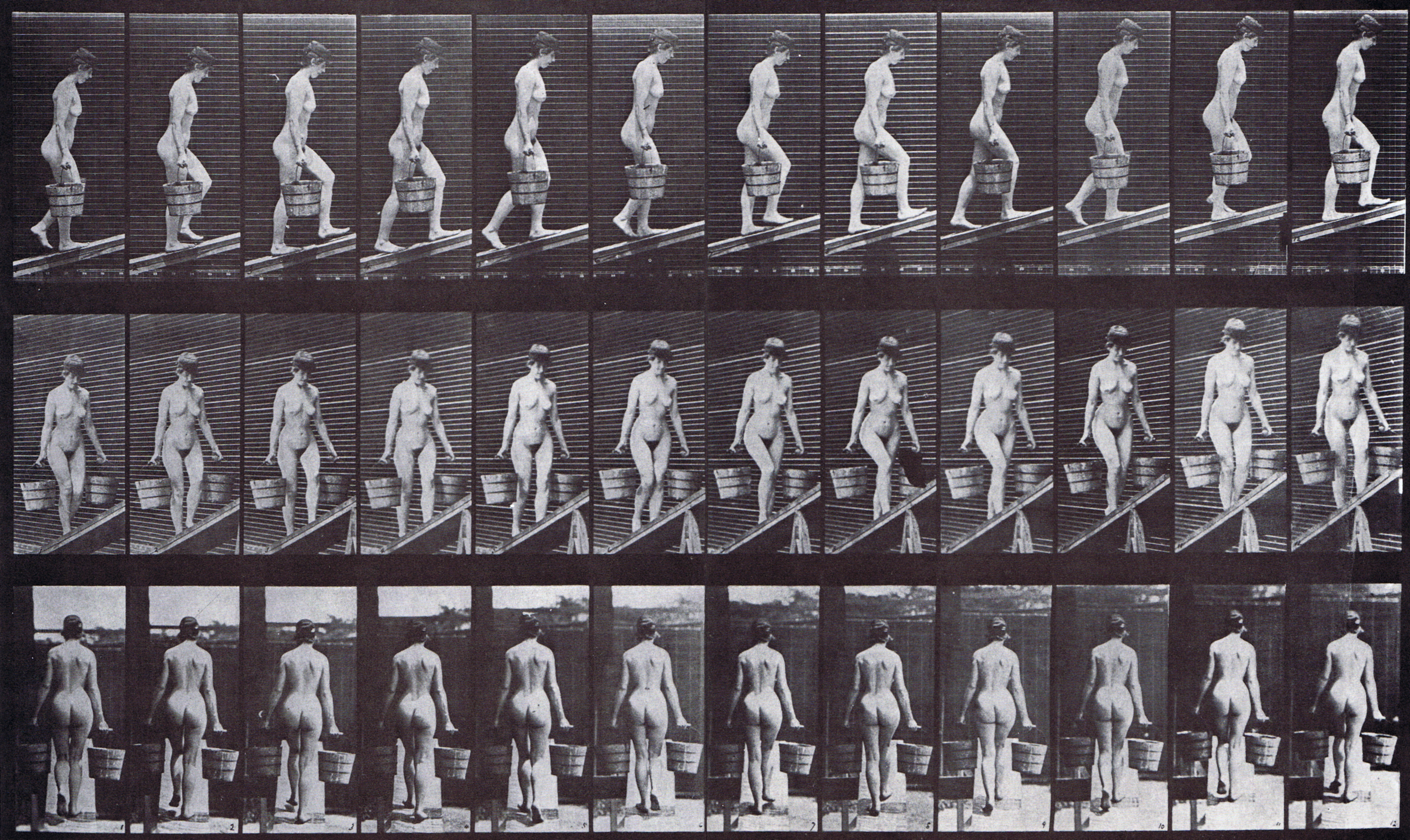 large profile, front three-quarter, and rear views of nude female ascending incline while holding a bucket of water in each hand, looping walkcycle animation reference using muybridge plate 82 from animal locomotion