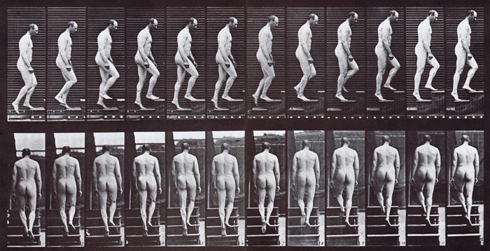 Profile and rear views of looping walkcycle of nude male ascending stairs animation reference using muybridge plate 89 from animal locomotion