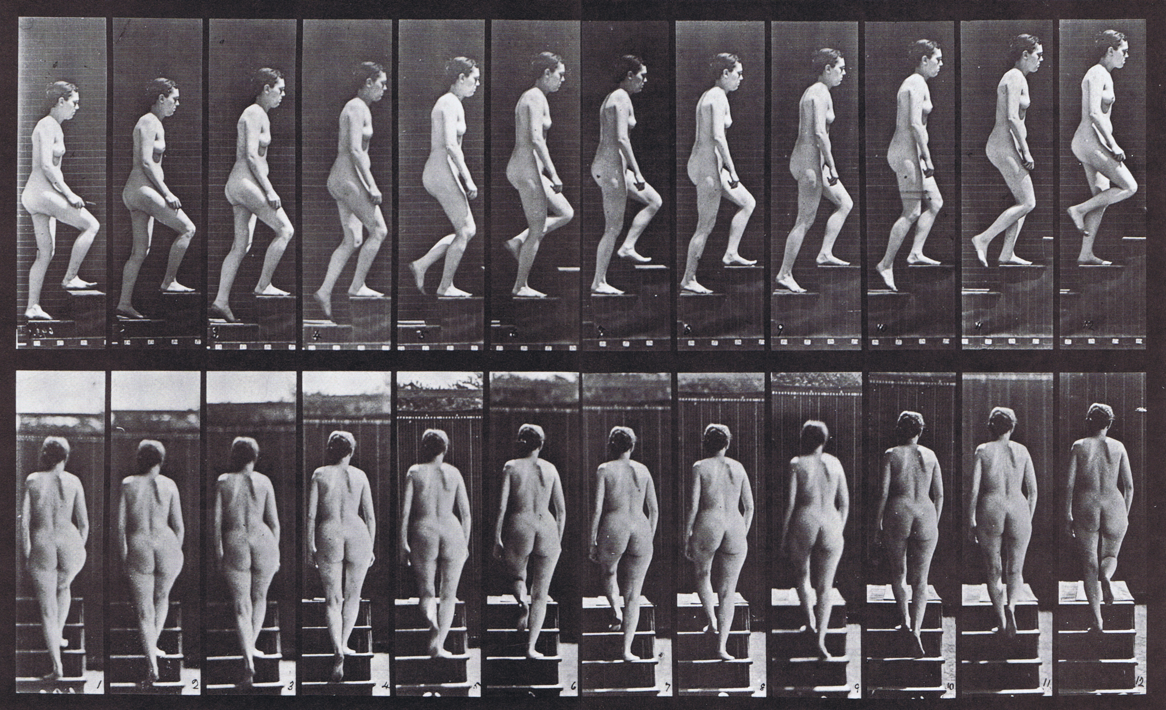 large profile and rear views of nude female ascending stairs animation reference using muybridge plate 92 from animal locomotion