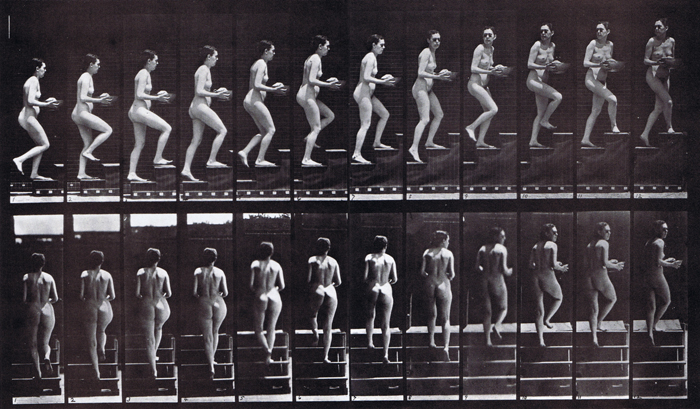Profile and rear views of nude female asceding stairs and looking around with basin in hands animation reference using muybridge plate 94 from animal locomotion