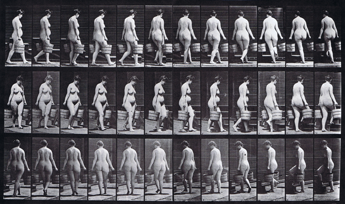 Profile, front three-quarter, and rear three-quarter views of nude female walking, turning and ascending stairs carrying a bucket of water in each hand animation reference using muybridge plate 106 from animal locomotion