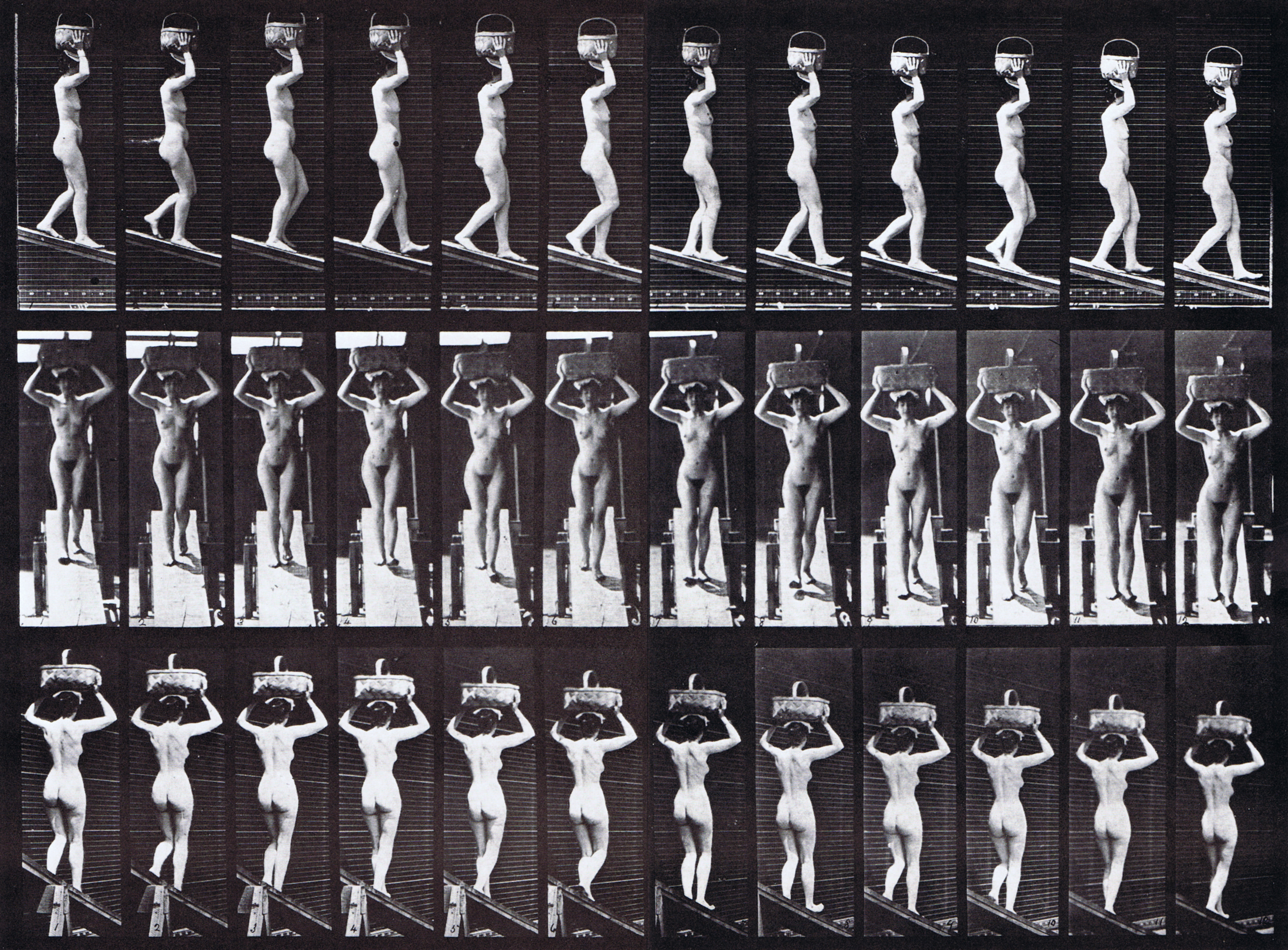 large profile, front, and rear three-quarter looping nude female descending incline with 20 pound basket on head with hands raised animation reference using muybridge plate 124 from animal locomotion