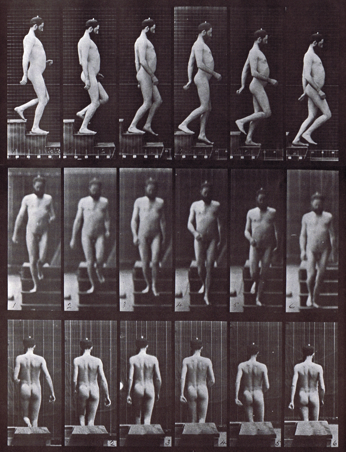 Profile, front, and rear views of nude male descending stairs animation reference using muybridge plate 127 from animal locomotion