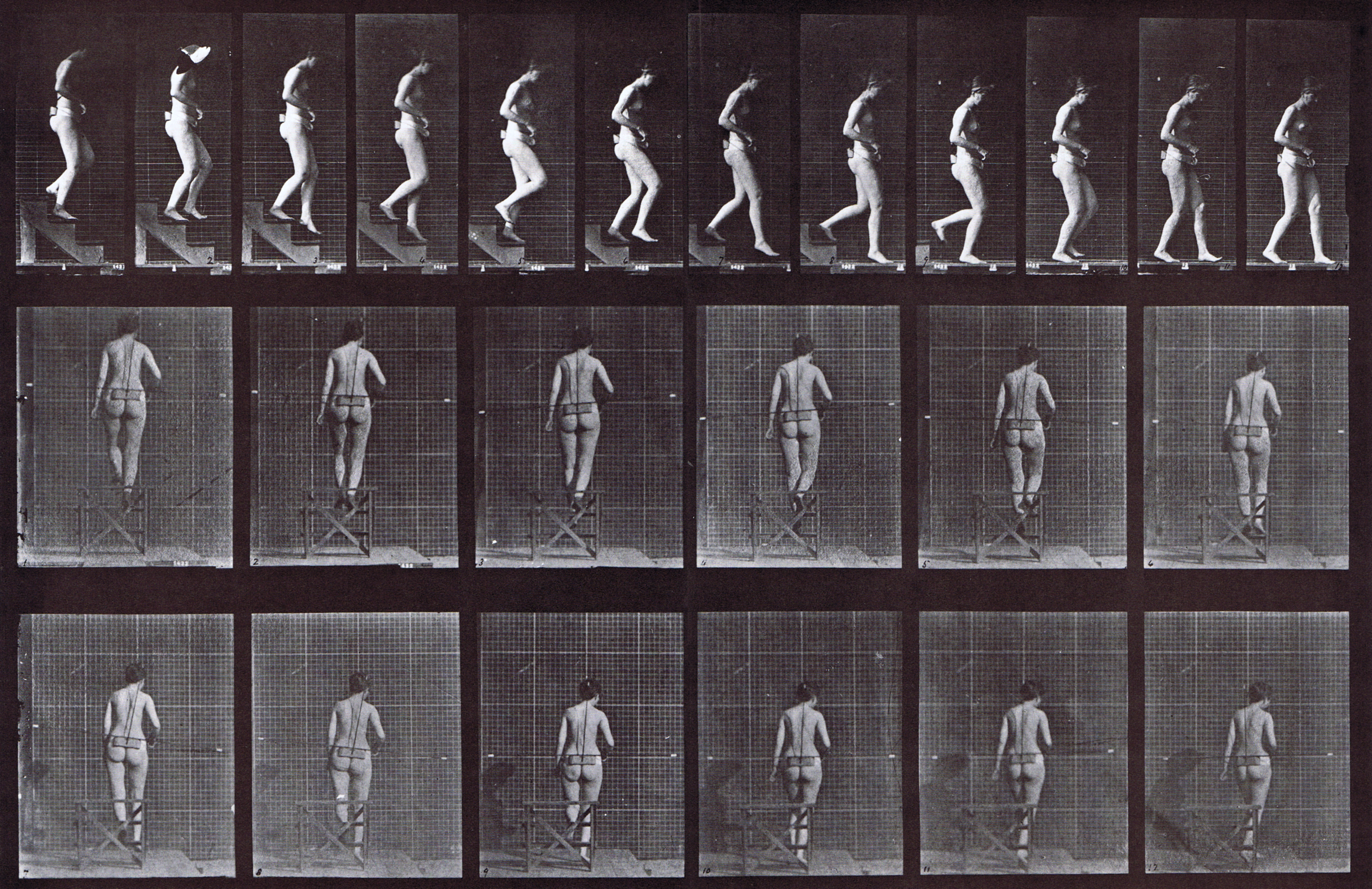 large profile and rear views of nude female descending stairs animation reference using muybridge plate 130 from animal locomotion
