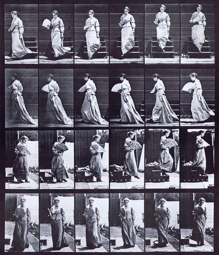 Front and profile views of clothed female wearing dress descending stairs, turning and flirting a fan animation reference using muybridge plate 141 from animal locomotion
