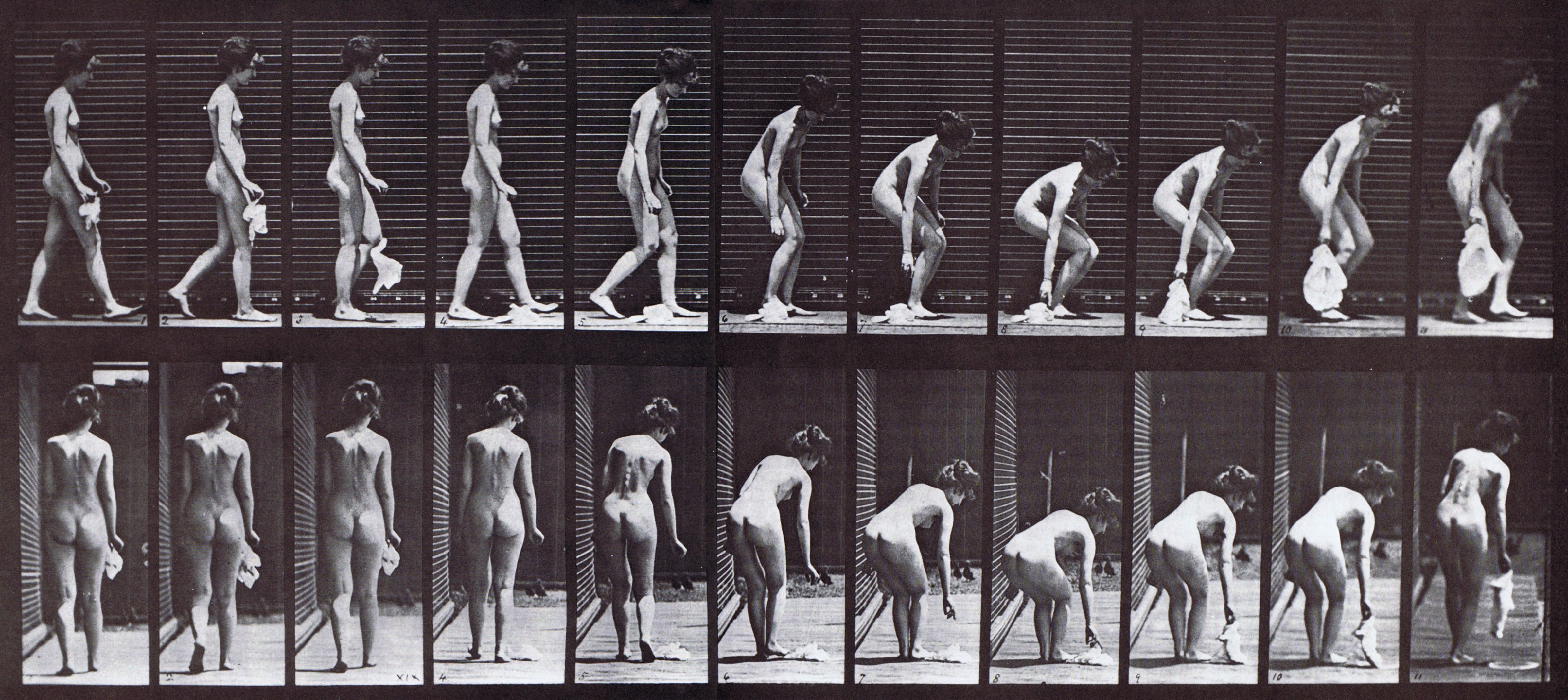 large profile and rear views of nude female dropping then lifting a handkerchief animation reference using muybridge plate 202 from animal locomotion