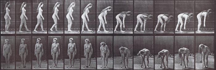 Profile and front views of nude female stooping and picking up a ball animation reference using muybridge plate 204 from animal locomotion