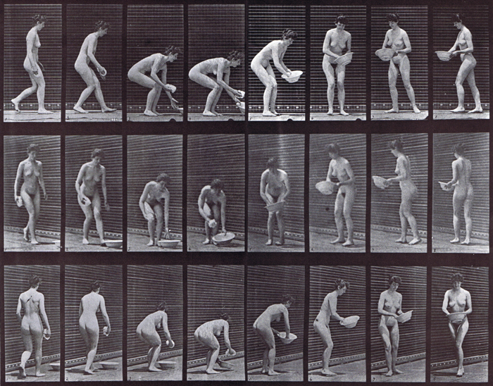 Profile, front three-quarter, and rear three-quarter views of nude female stooping and lifting a water basin then standing and turning animation reference using muybridge plate 223 from animal locomotion