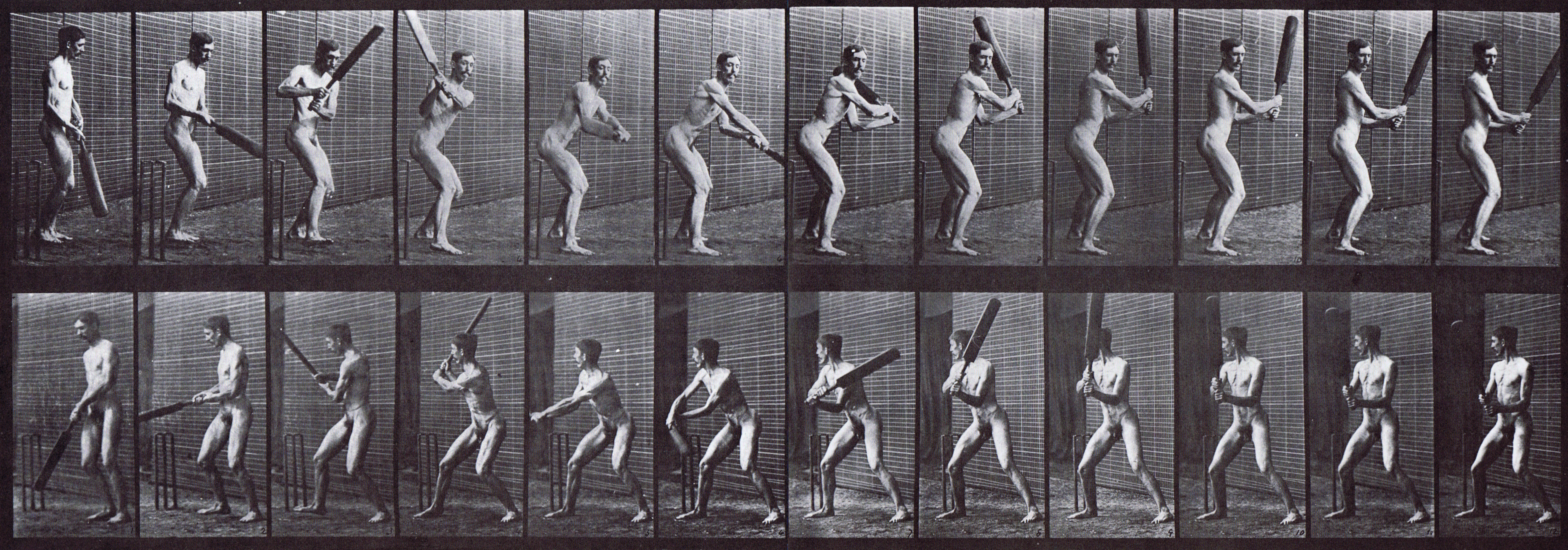 large front three-quarter and rear three-quarter views of nude male swinging a cricket bat, batting back cut animation reference using muybridge plate 293 from animal locomotion