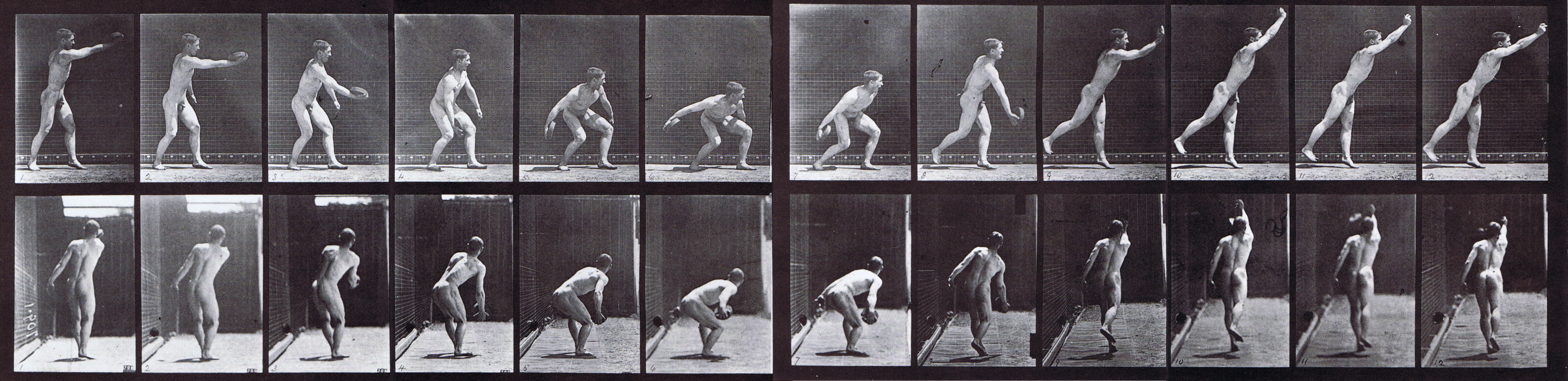 large profile and rear views of nude male throwing an iron disc animation reference using muybridge plate 307 from animal locomotion
