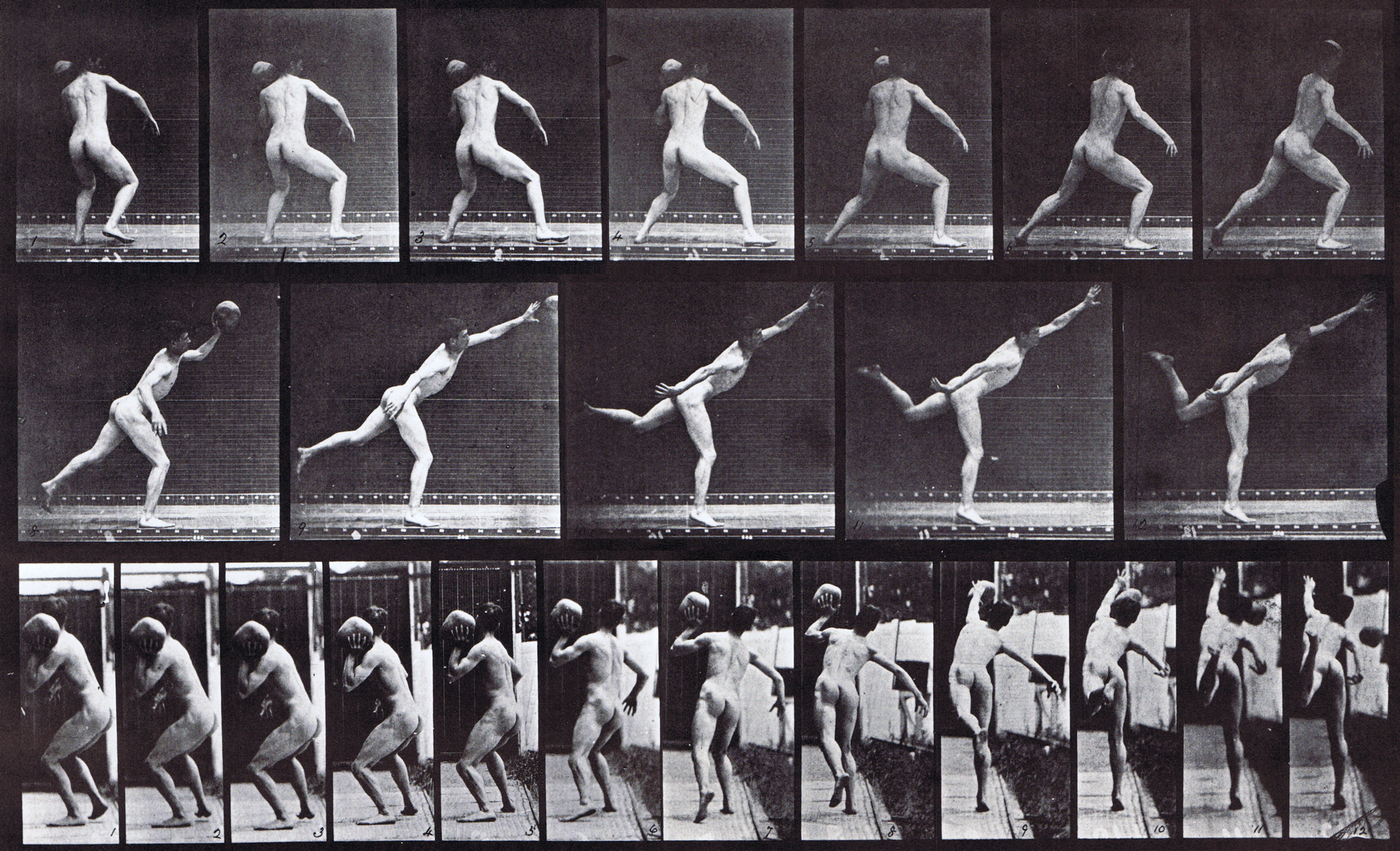 large profile and rear views of nude male heaving a 20 pound rock animation reference using muybridge plate 316 from animal locomotion