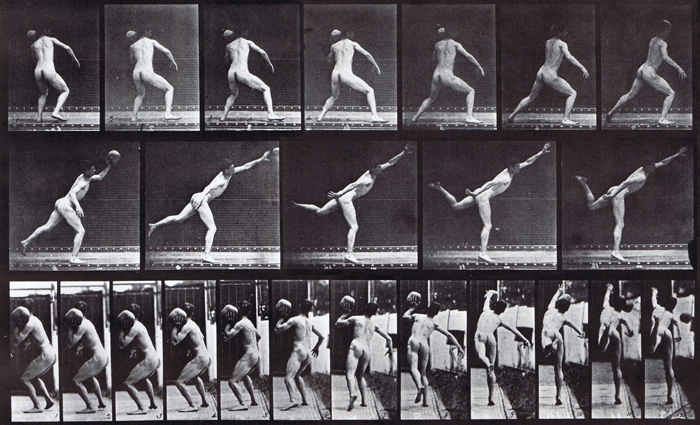 Profile and rear views of nude male heaving a 20 pound rock animation reference using muybridge plate 316 from animal locomotion