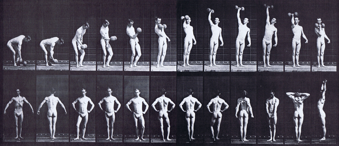 Profile view semi nude male wearing underwear lifting a 50 pound dumbbell, and posing animation reference using muybridge plate 321 from animal locomotion