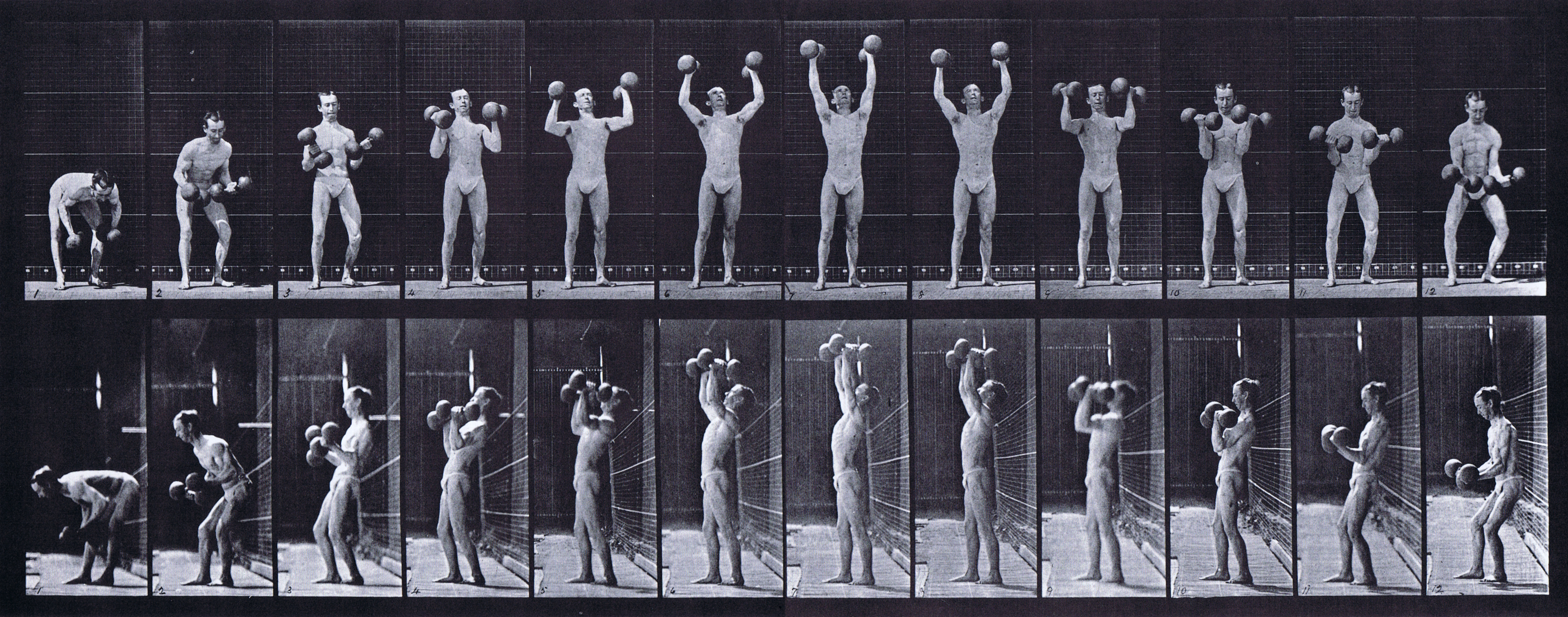 large front and profile views of semi nude male wearing underwear lifting and letting down two 50 pound dumbbells animation reference using muybridge plate 322 from animal locomotion