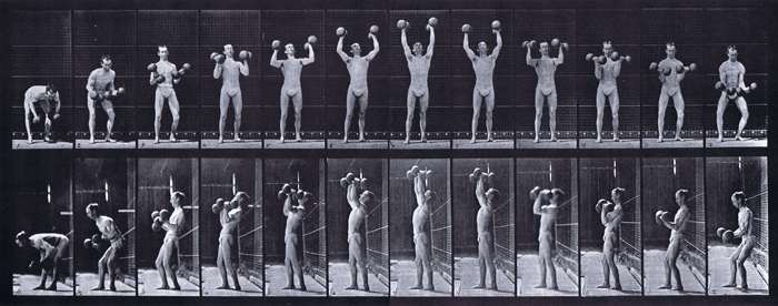 Front and profile views of semi nude male wearing underwear lifting and letting down two 50 pound dumbbells animation reference using muybridge plate 322 from animal locomotion