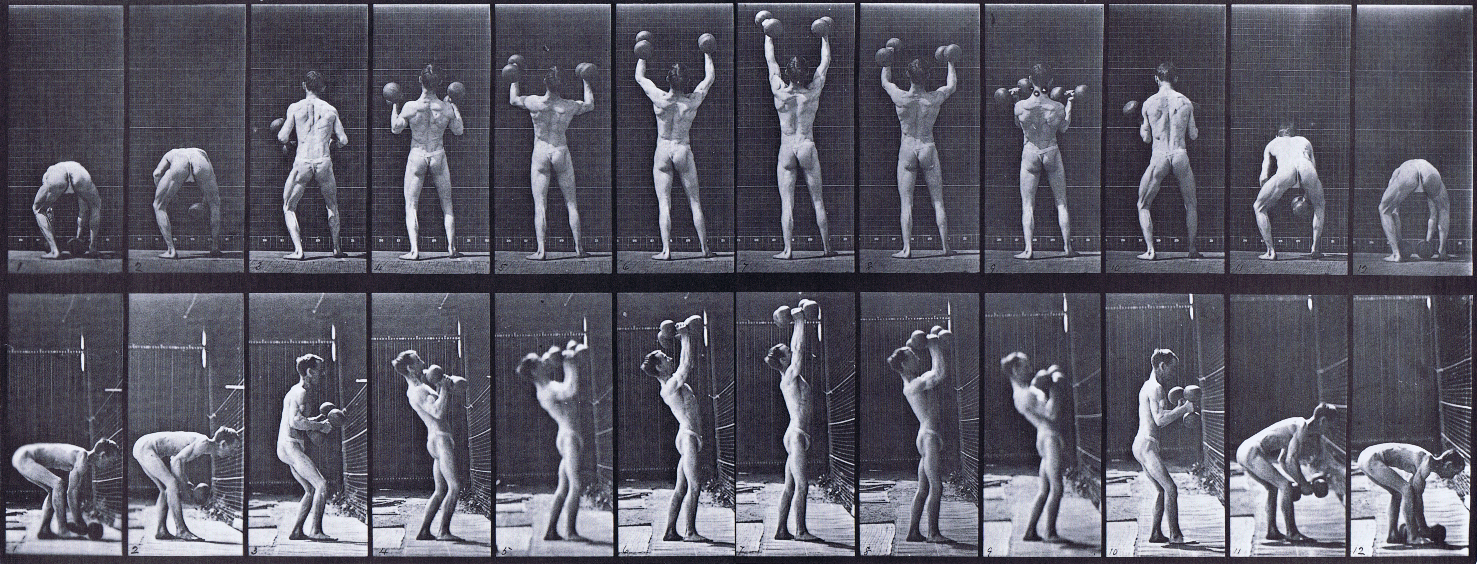 large rear and profile views of semi nude male wearing underwear lifting and letting down two 50 pound dumbbells animation reference using muybridge plate 323 from animal locomotion