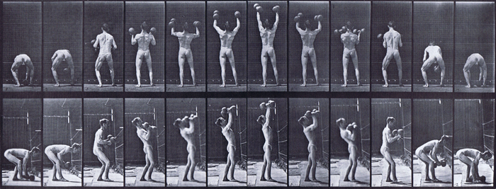Rear and profile views of semi nude male wearing underwear lifting and letting down two 50 pound dumbbells animation reference using muybridge plate 323 from animal locomotion