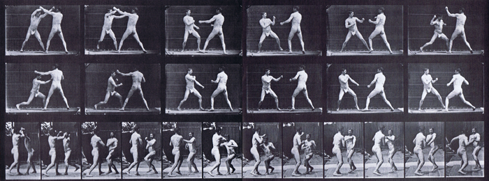 Profile and three-quarter views of semi nude male wearing underwear boxing animation reference using muybridge plate 329 from animal locomotion
