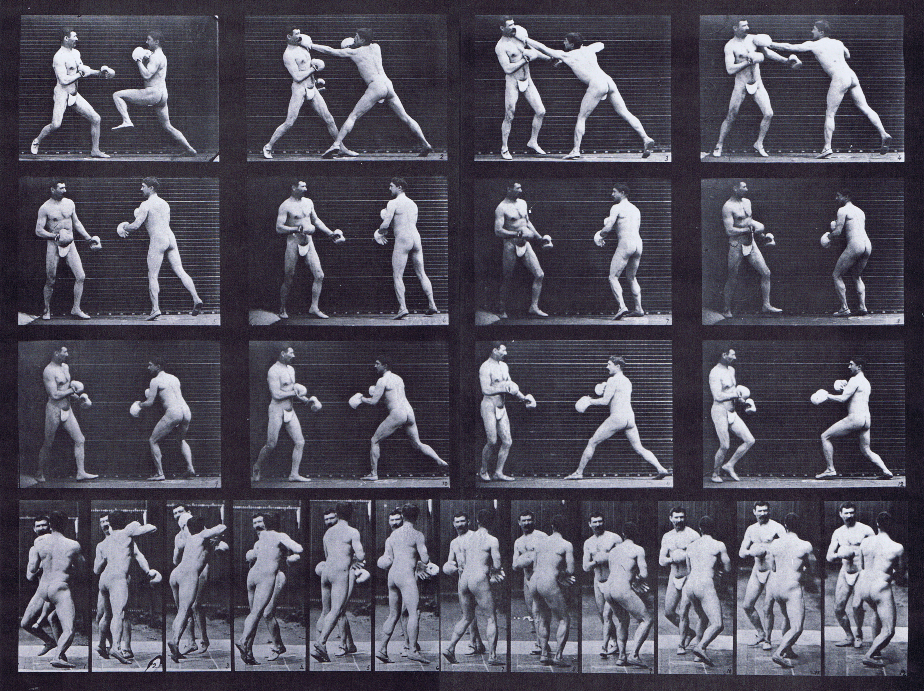 large profile and rear views of two semi nude males wearing underwear, boxing with gloves on animation reference using muybridge plate 335 from animal locomotion