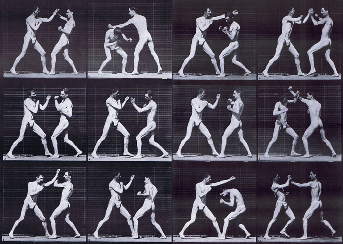 Profile view of two semi nude males wearing underwear, boxing open hand animation reference using muybridge plate 336 from animal locomotion