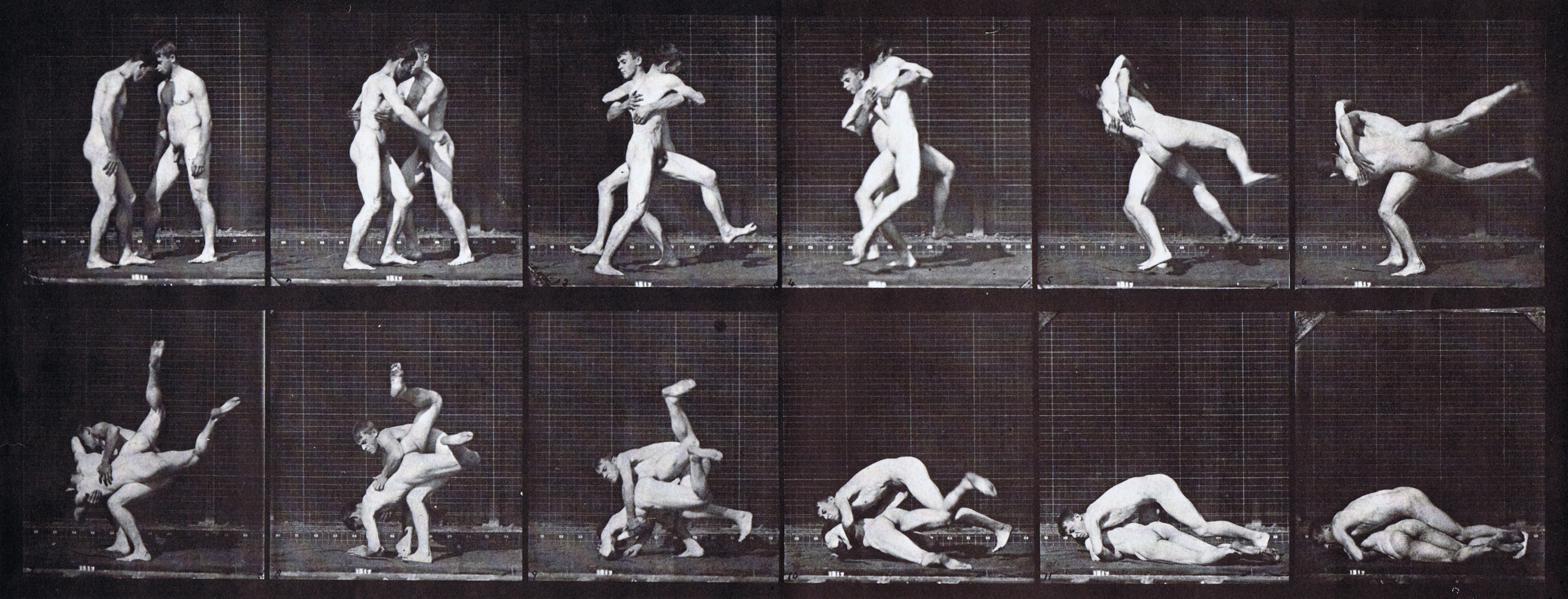 large profile view of two nude males wrestling, grecco roman take down animation reference using muybridge plate 347 from animal locomotion
