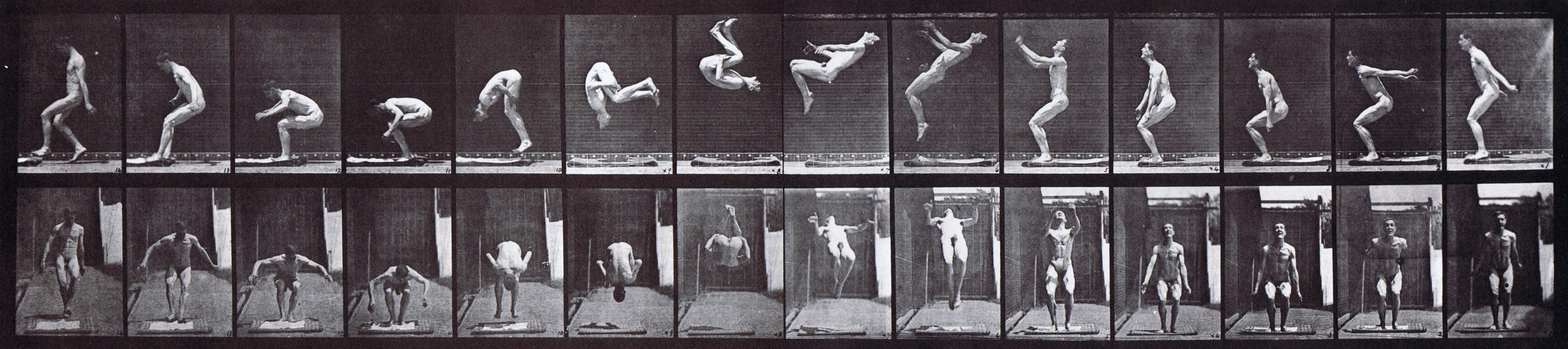 large profile and front views of nude male doing a backward somersault animation reference using muybridge plate 362 from animal locomotion