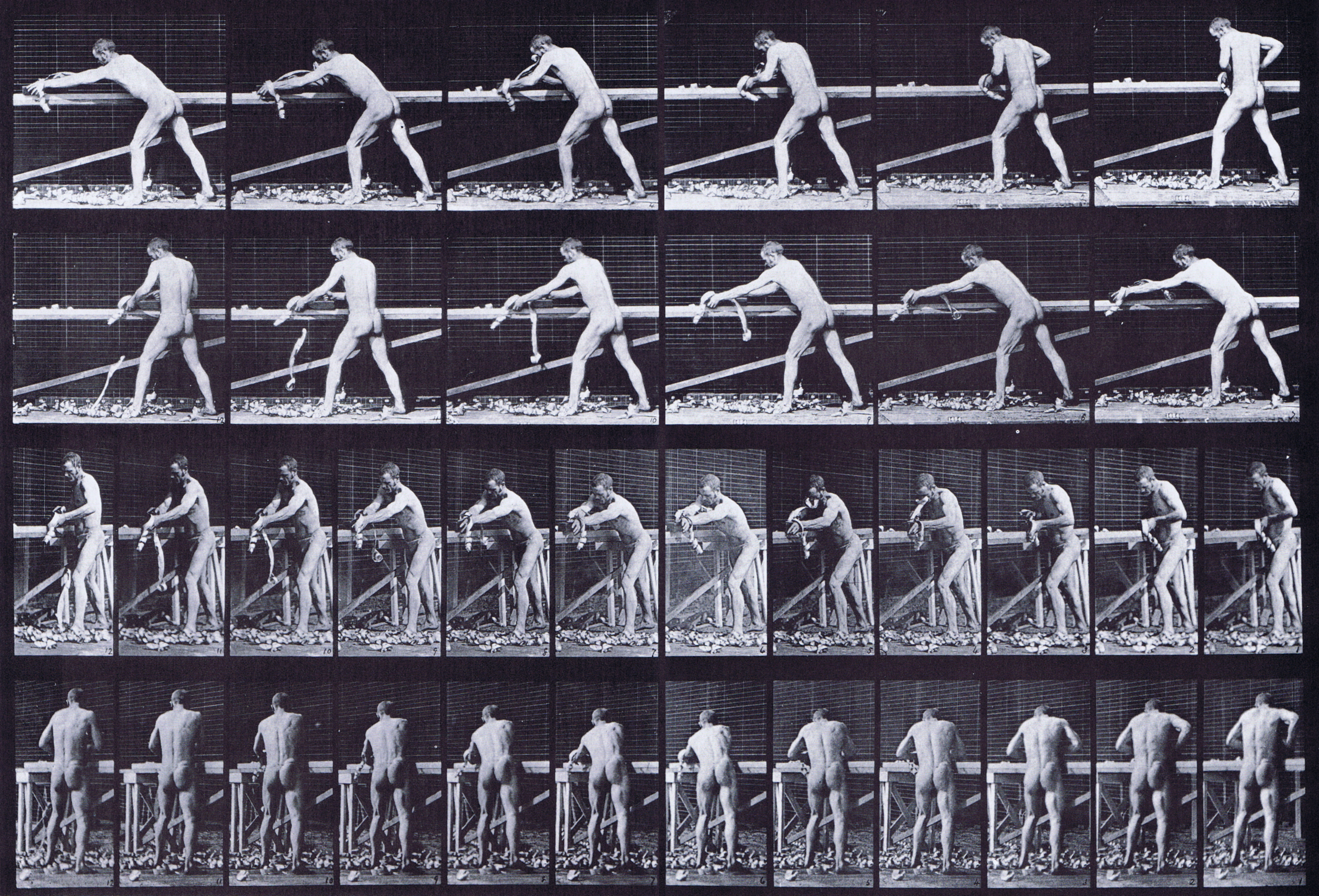 large profile, front three-quarter, and rear views of semi nude male carpenter, planing a board animation reference using muybridge plate 379 from animal locomotion