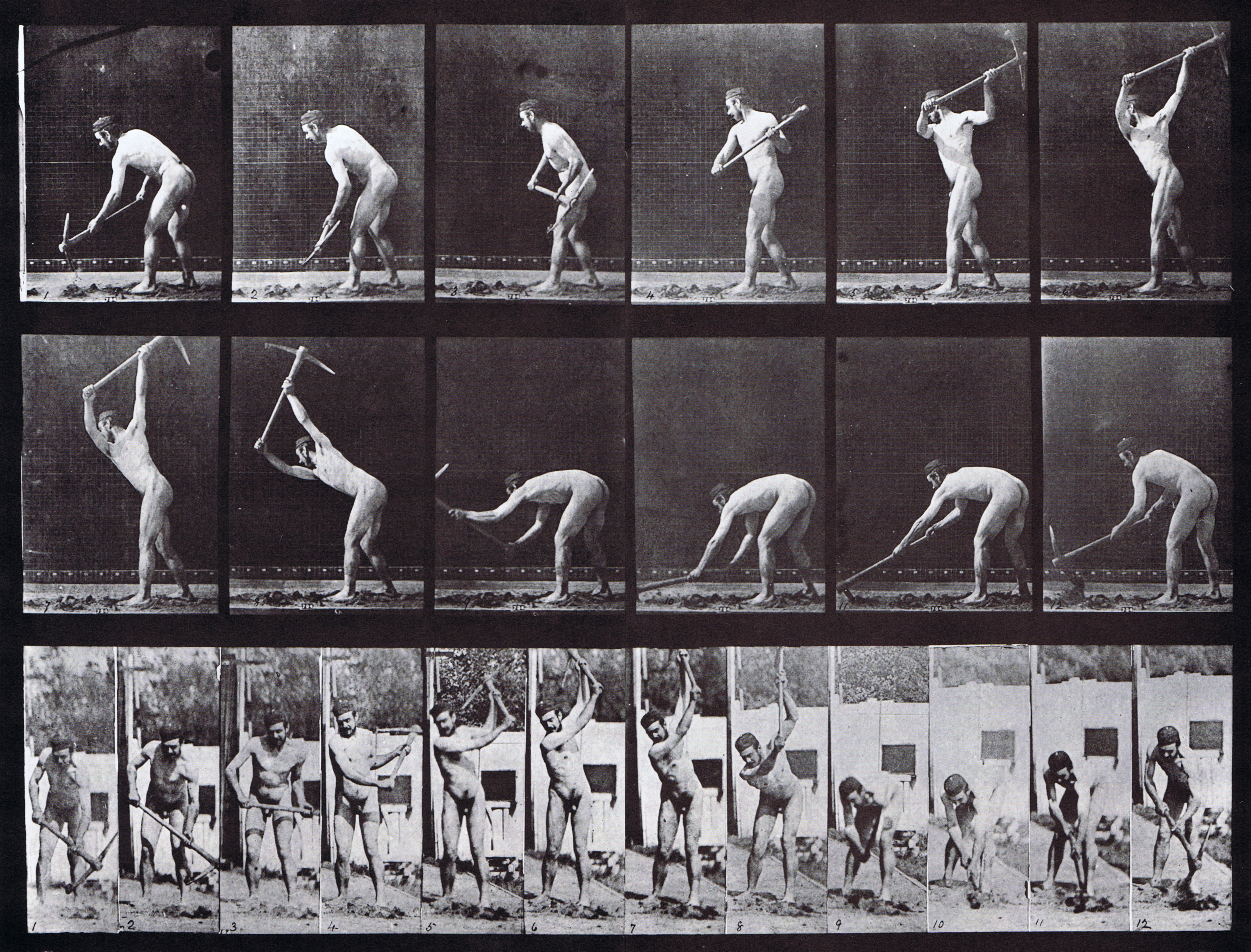 large profile and front views of nude male farmer, looping swinging a pick ax animation reference using muybridge plate 385 from animal locomotion